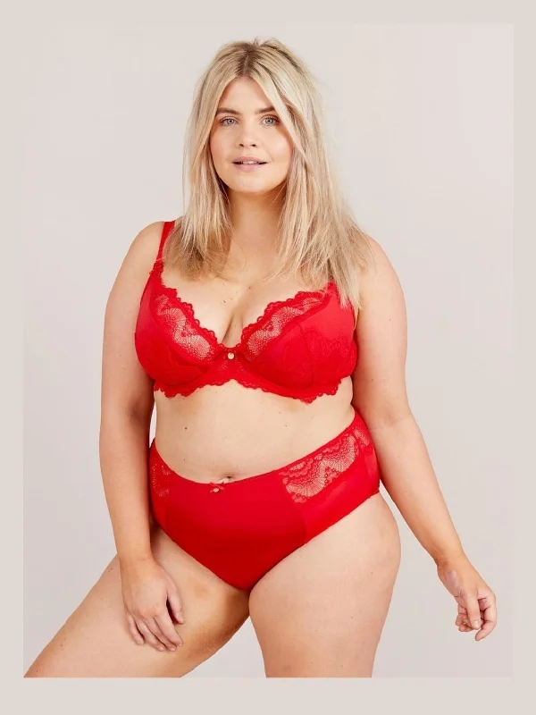 Fan Lace High Waist Brief