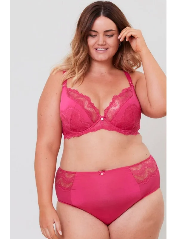 Fan Lace High Waist Brief