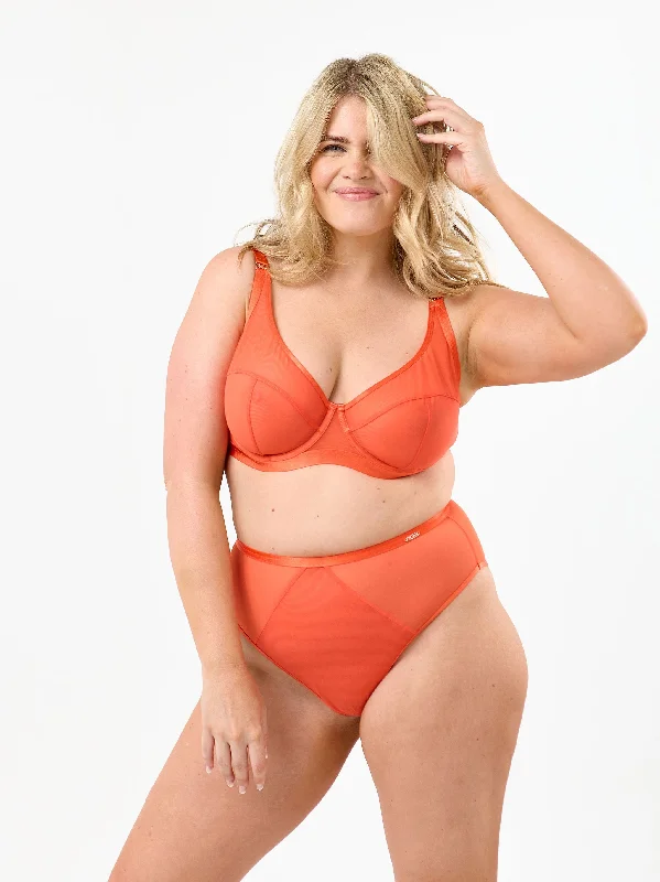 Soft Mesh Control High Waist Brief